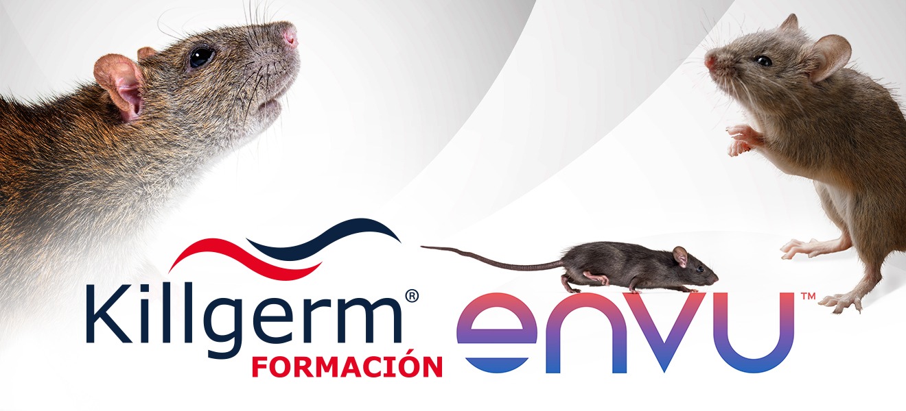 KG ENVU ES Banner